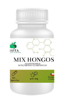 MIX DE HONGOS MEDICINALES