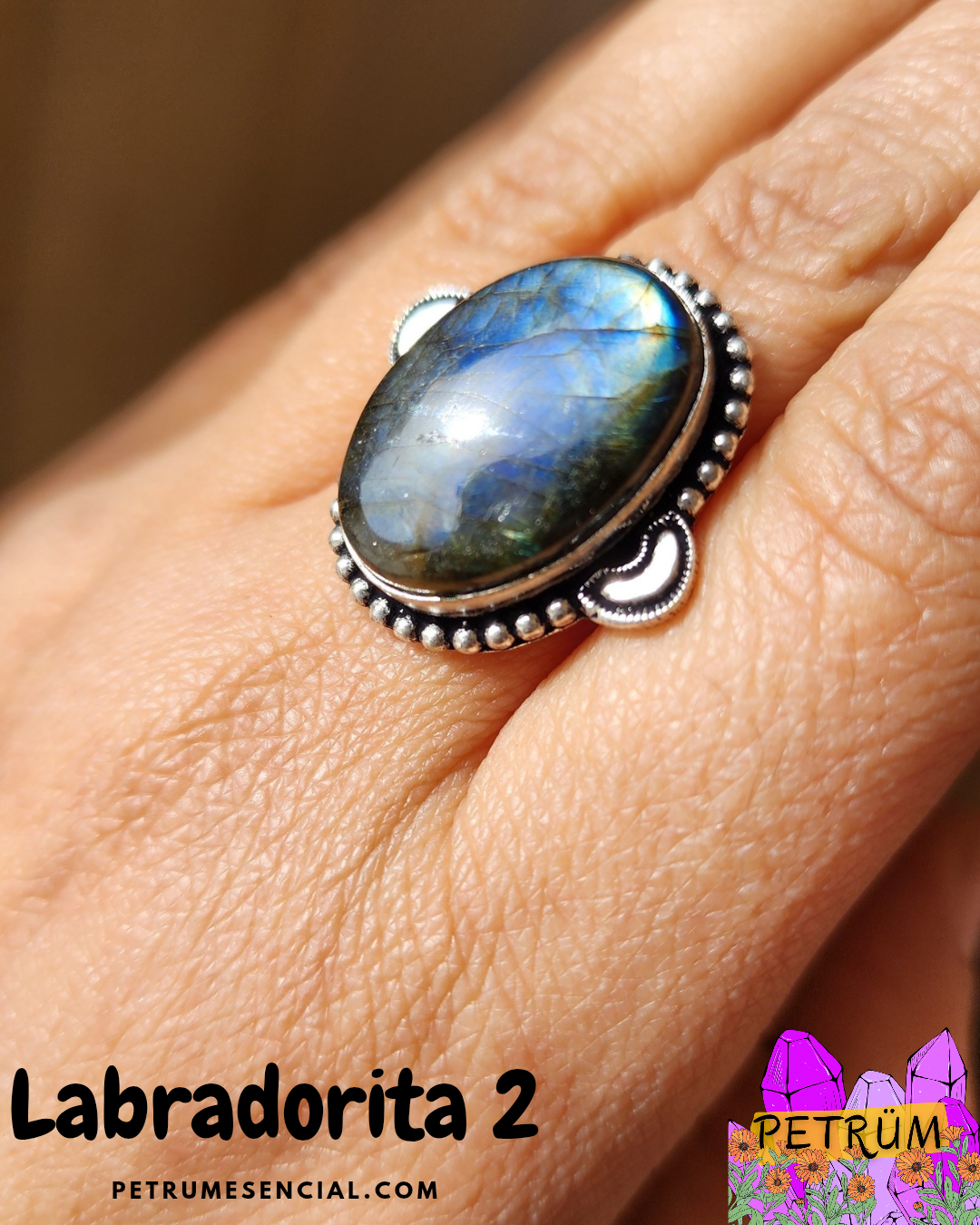 Anillo Energético Ajustable con Piedra Natural, enchapado en Plata