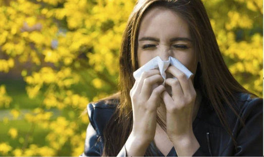Pomada Respiratoria