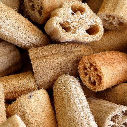 Lufas Naturales, esponja de origen vegetal